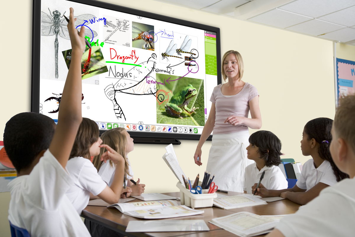 2Touch interactive displays: perfect for the classroom